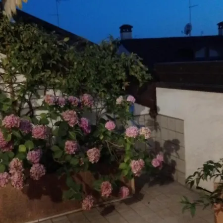 Апартаменты Attico Di Marisa Кодройпо